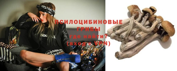 СК Нягань