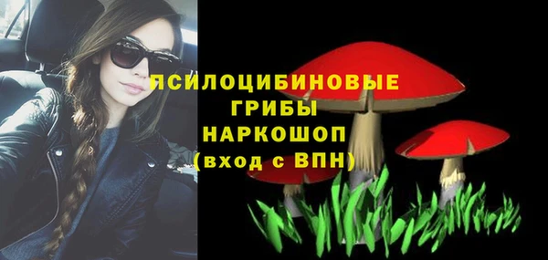 сатива Нязепетровск