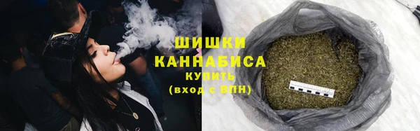 сатива Нязепетровск
