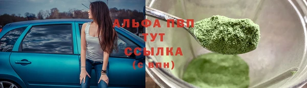 СК Нягань